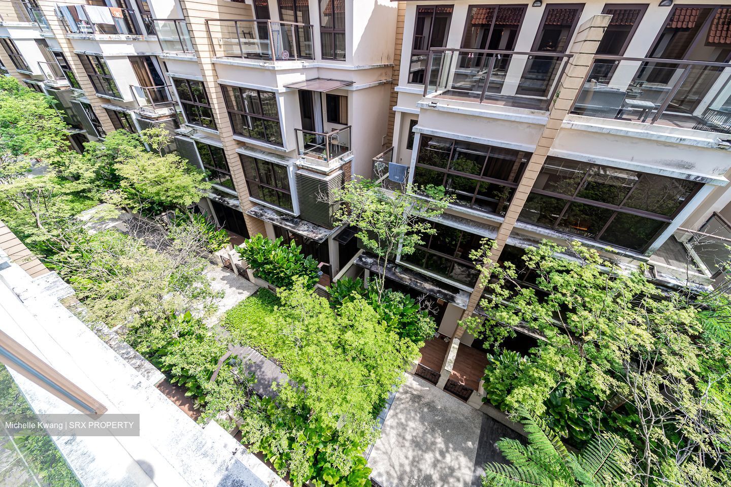 Holland Link (D10), Terrace #503034751